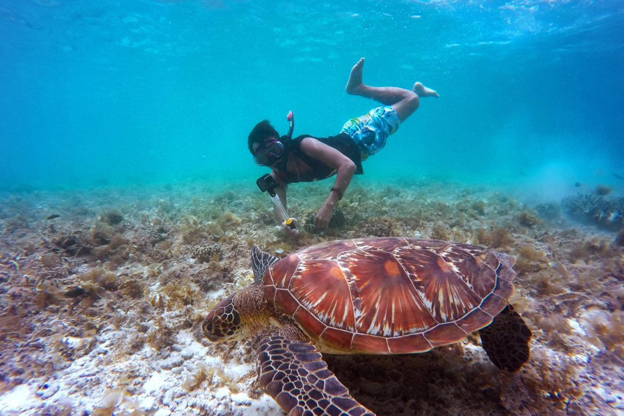 Metita Beach & Dive Resort Daruba エクステリア 写真